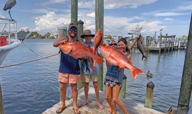 12 Hour Bottom Fishing/Trolling In Orange Beach