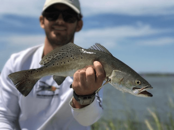 Speckled Trout Fishing Trip In Ogden