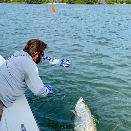 Bokeelia Tarpon Fishing In Bokeelia