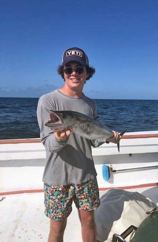 Reel In Fun With Captain Chase In Orange Beach