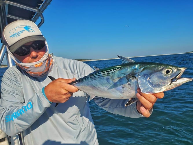 Nearshore Fly Fishing In Harkers Island