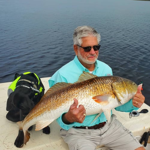 Nearshore Fly Fishing In Harkers Island