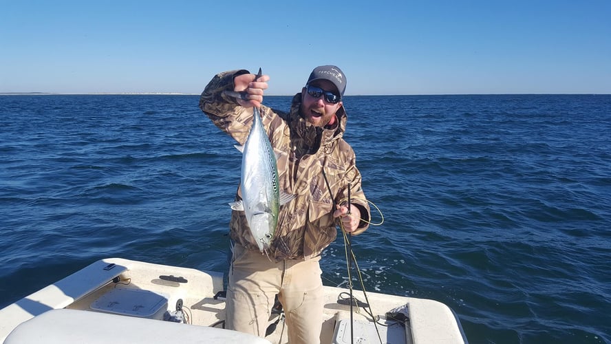 Nearshore Fly Fishing In Harkers Island