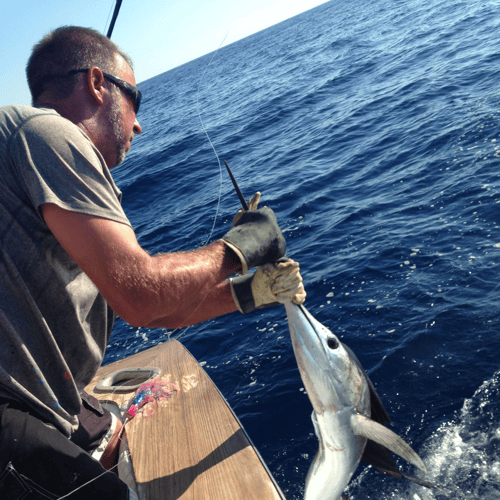 Offshore Marlin Special In Destin