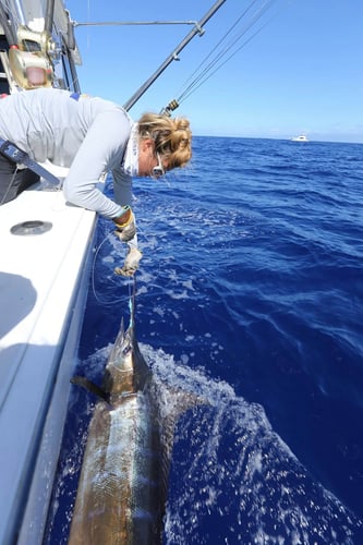 Kona Legendary Sportfishing in Kailua-Kona