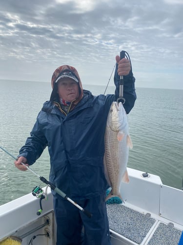 State Water Offshore Trip In Hitchcock
