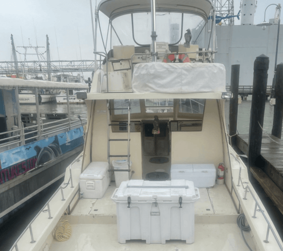 9 Hour Offshore Trip- 42' Delta in Galveston