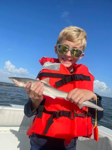 Shark Hunt: Thrilling Adventure In Galveston