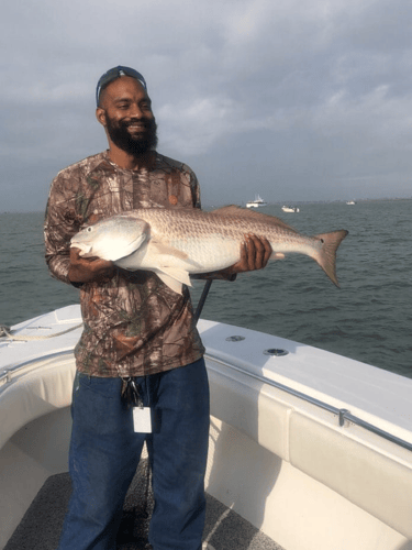 Galveston Inshore Trip In Hitchcock