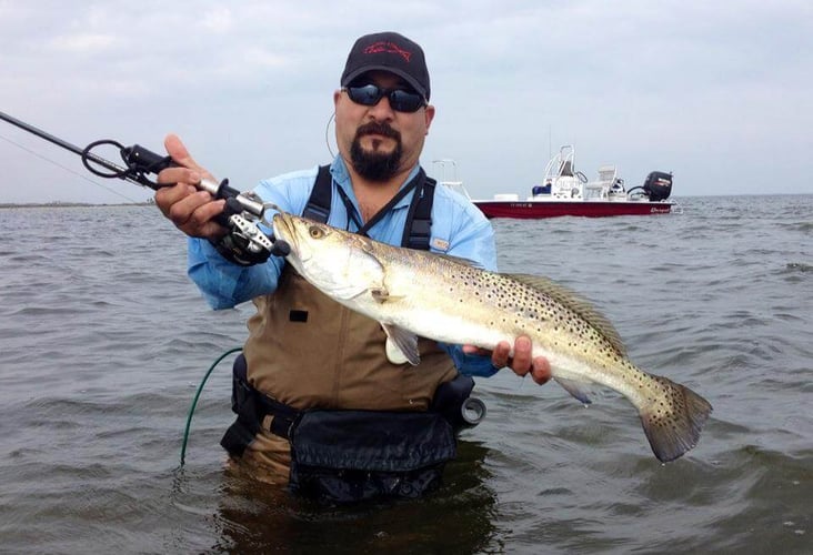 Fulton Inshore Special in Fulton