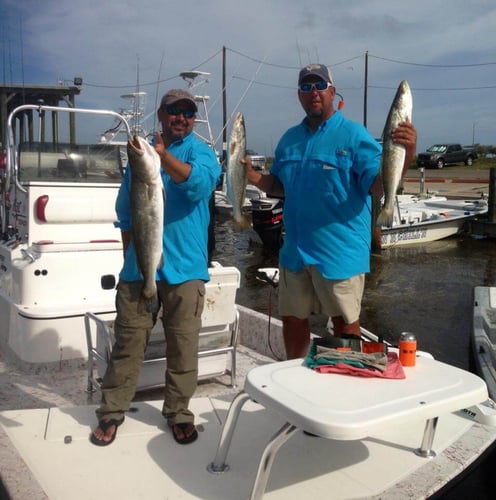 Fulton Inshore Special in Fulton