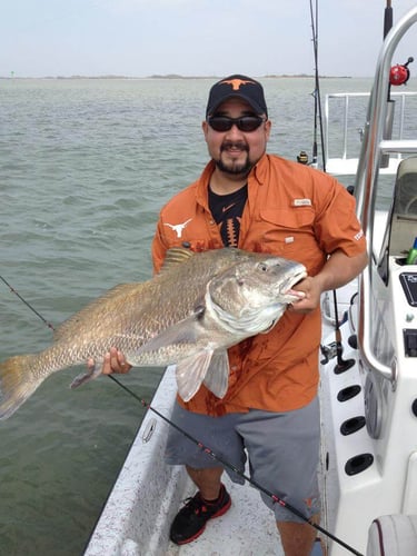 Fulton Inshore Special in Fulton