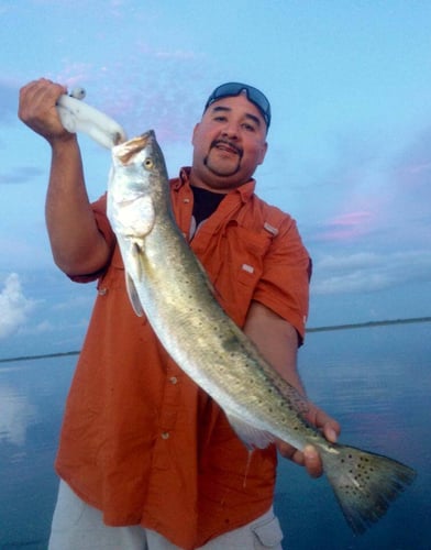 Fulton Inshore Special in Fulton