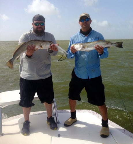 Fulton Inshore Special in Fulton