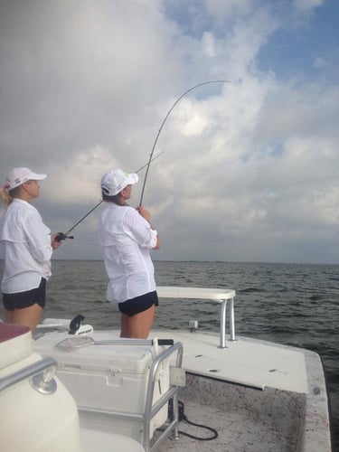 Fulton Inshore Special in Fulton