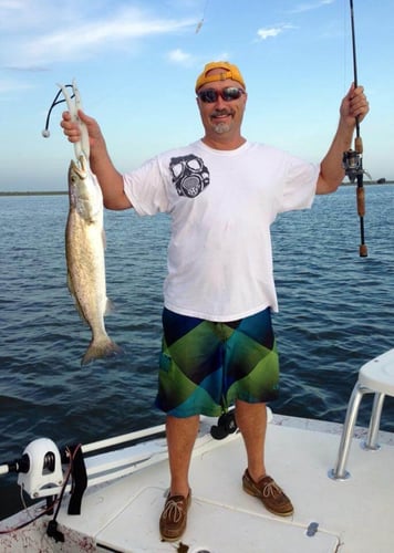 Fulton Inshore Special in Fulton