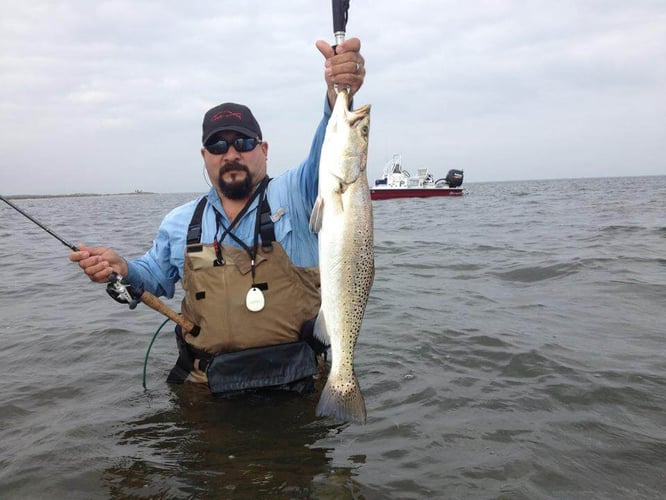 Fulton Inshore Special in Fulton