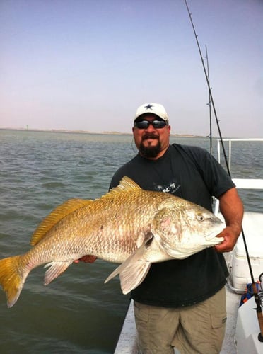 Fulton Inshore Special in Fulton