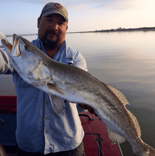 Fulton Inshore Special in Fulton