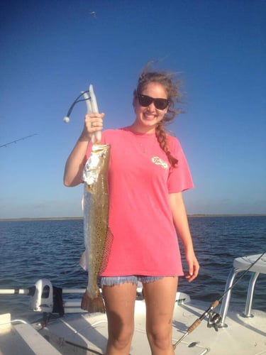 Fulton Inshore Special in Fulton