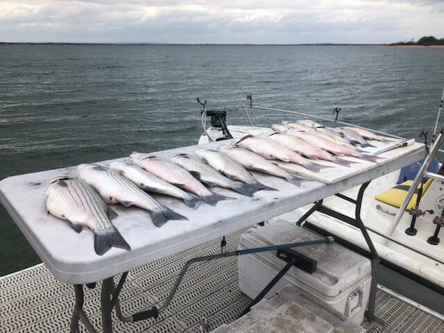 Lake Buchanan Special in Burnet