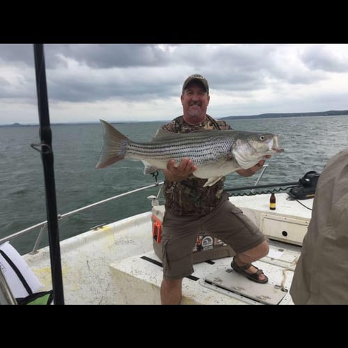 Lake Buchanan Special in Burnet