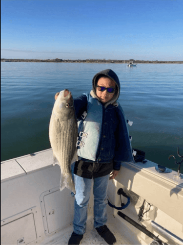 Lake Buchanan Special in Burnet