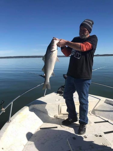 Lake Buchanan Special in Burnet