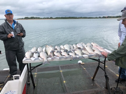 Lake Buchanan Special in Burnet