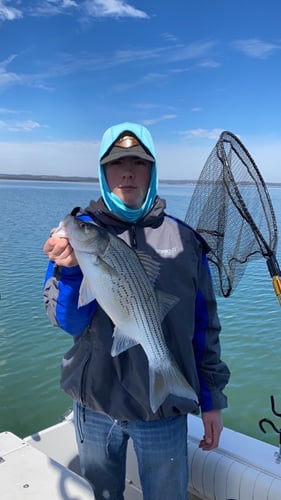 Lake Buchanan Special in Burnet