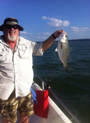 Lake Buchanan Special in Burnet