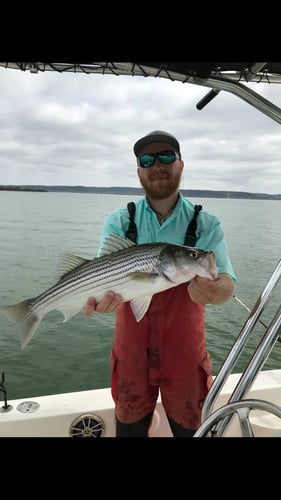 Lake Buchanan Special in Burnet