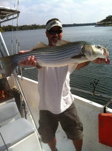Lake Buchanan Special in Burnet