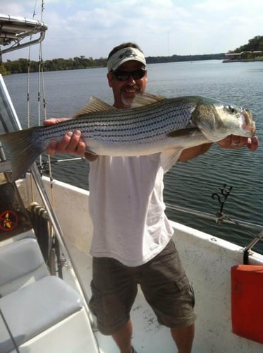 Lake Buchanan Special In Burnet