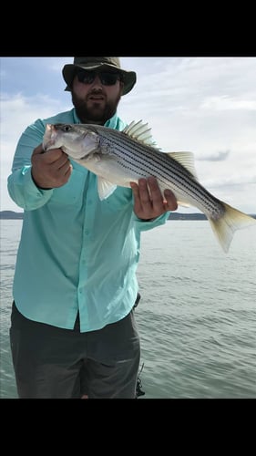 Lake Buchanan Special in Burnet