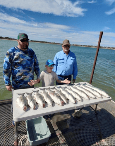 Lake Buchanan Special in Burnet