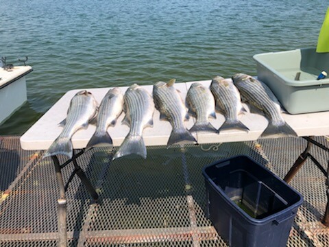 Lake Buchanan Special in Burnet