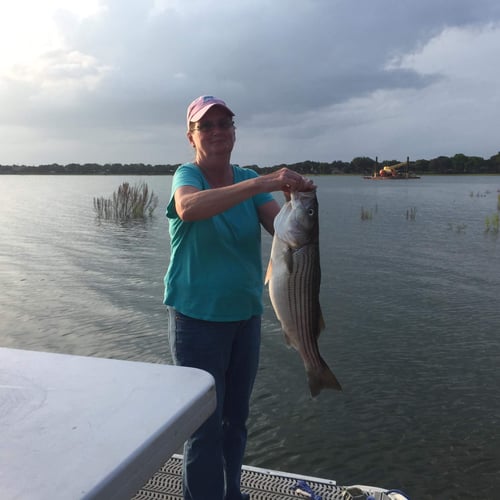 Lake Buchanan Special in Burnet