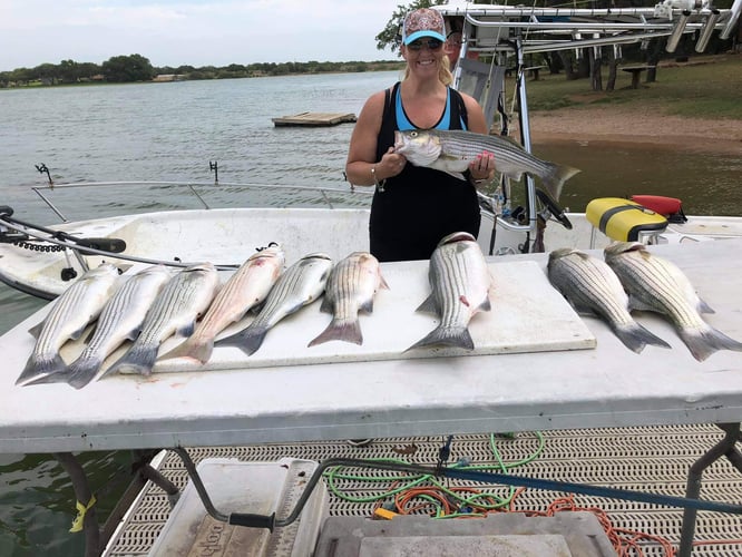 Lake Buchanan Special in Burnet