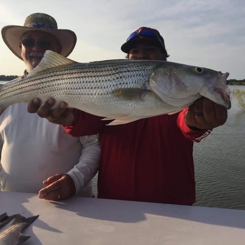 Lake Buchanan Special in Burnet