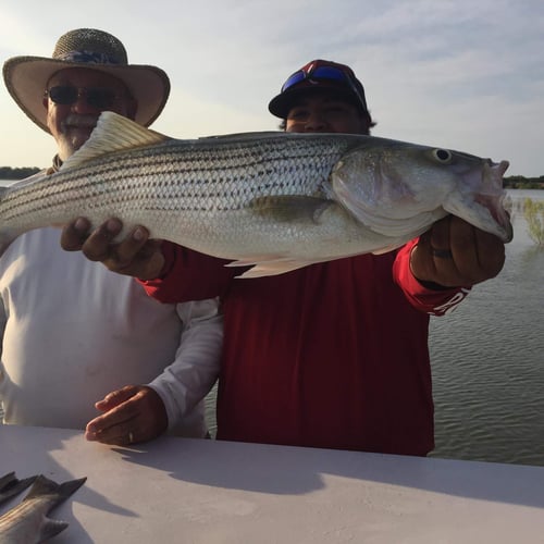 Lake Buchanan Special In Burnet