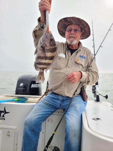 Bay And Jetty Trip -  26' Century In Galveston