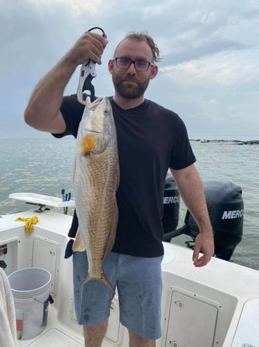 Bay And Jetty Trip -  26' Century In Galveston