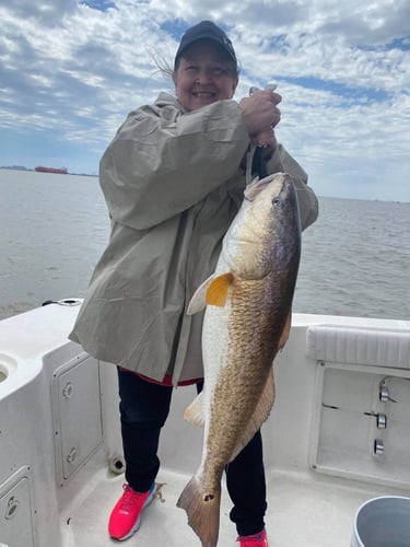 Bay And Jetty Trip -  26' Century In Galveston