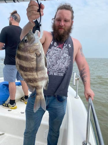 Bay And Jetty Trip -  26' Century In Galveston