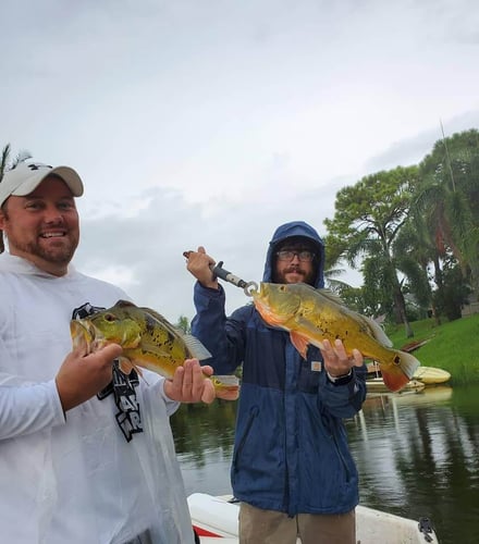 Fishing Frenzy! In Delray Beach