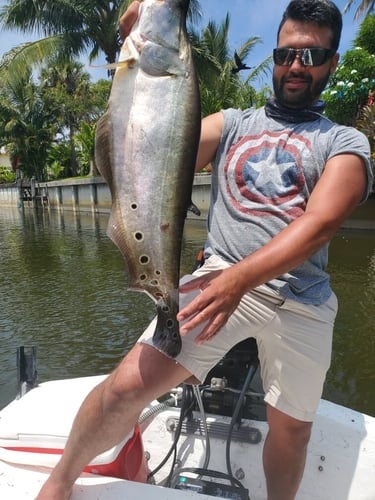 Full Day Fishing Trip in Delray Beach