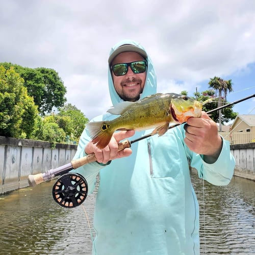 Fishing Frenzy! In Delray Beach