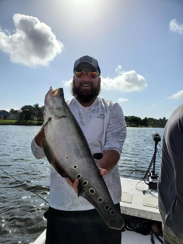Full Day Fishing Trip in Delray Beach