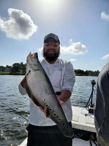 Fishing Frenzy! In Delray Beach